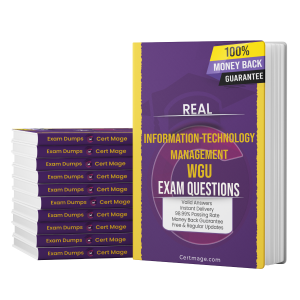 information-technology-management exam question