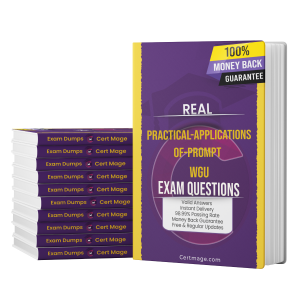 practical-applications-of-prompt exam question